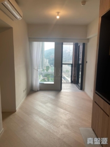 柏傲莊 3期 8座 (8A) - 28NTS – 香港北部都會區