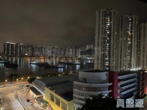 麗城花園 2期 4座 - 28NTS – 香港北部都會區