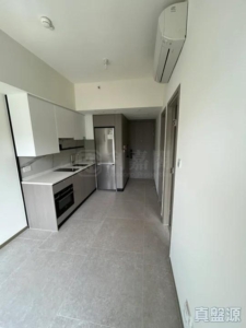 NOVO LAND 2B期 Arreso 1B座 - 28NTS – 香港北部都會區
