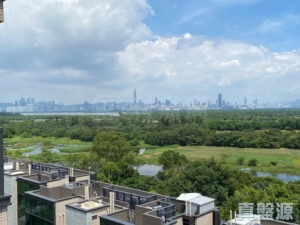 WETLAND SEASONS PARK 2期 18座 - 28NTS – 香港北部都會區