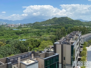 WETLAND SEASONS PARK 2期 18座 - 28NTS – 香港北部都會區