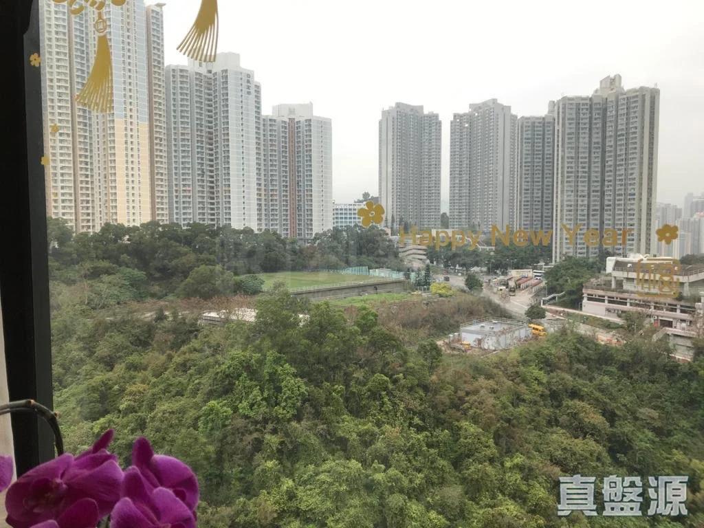 曉峰園 3座 - 28NTS – 香港北部都會區