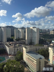 翠林花園 B座 - 28NTS – 香港北部都會區