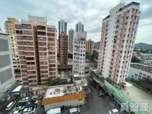 好旺洋樓 - 28NTS – 香港北部都會區
