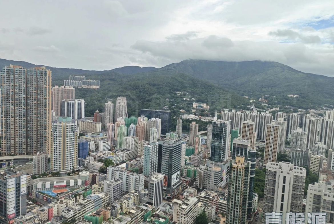 爵悅庭 南爵軒 (A2) - 28NTS – 香港北部都會區