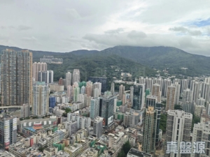 爵悅庭 南爵軒 (A2) - 28NTS – 香港北部都會區