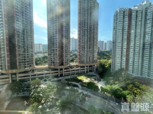 青怡花園 1座 - 28NTS – 香港北部都會區