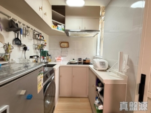 青怡花園 1座 - 28NTS – 香港北部都會區