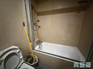 藍澄灣 2座 - 28NTS – 香港北部都會區