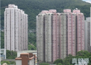 荃灣中心 安慶樓 (5座) - 28NTS – 香港北部都會區