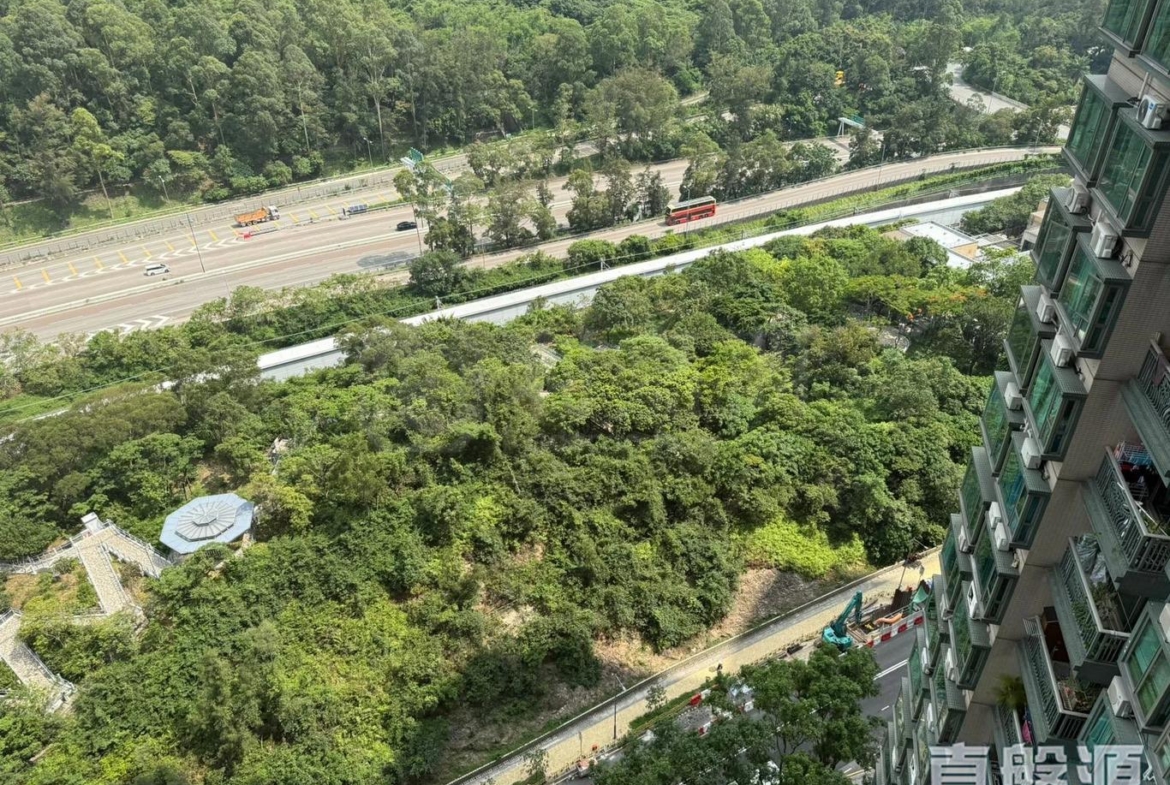 映灣園 3期 悅濤軒 9座 - 28NTS – 香港北部都會區
