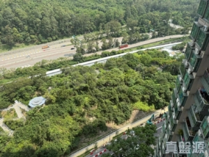 映灣園 3期 悅濤軒 9座 - 28NTS – 香港北部都會區