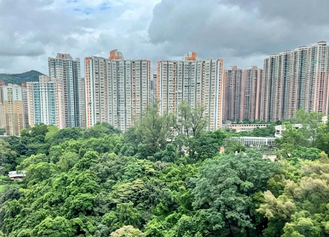 偉景花園 2座 - 28NTS – 香港北部都會區
