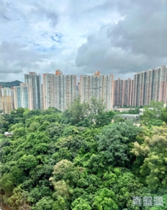 偉景花園 2座 - 28NTS – 香港北部都會區