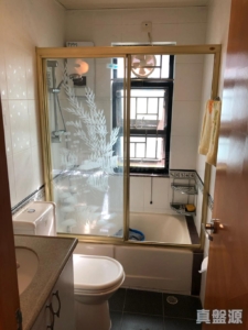大圍新村 33B號 - 28NTS – 香港北部都會區