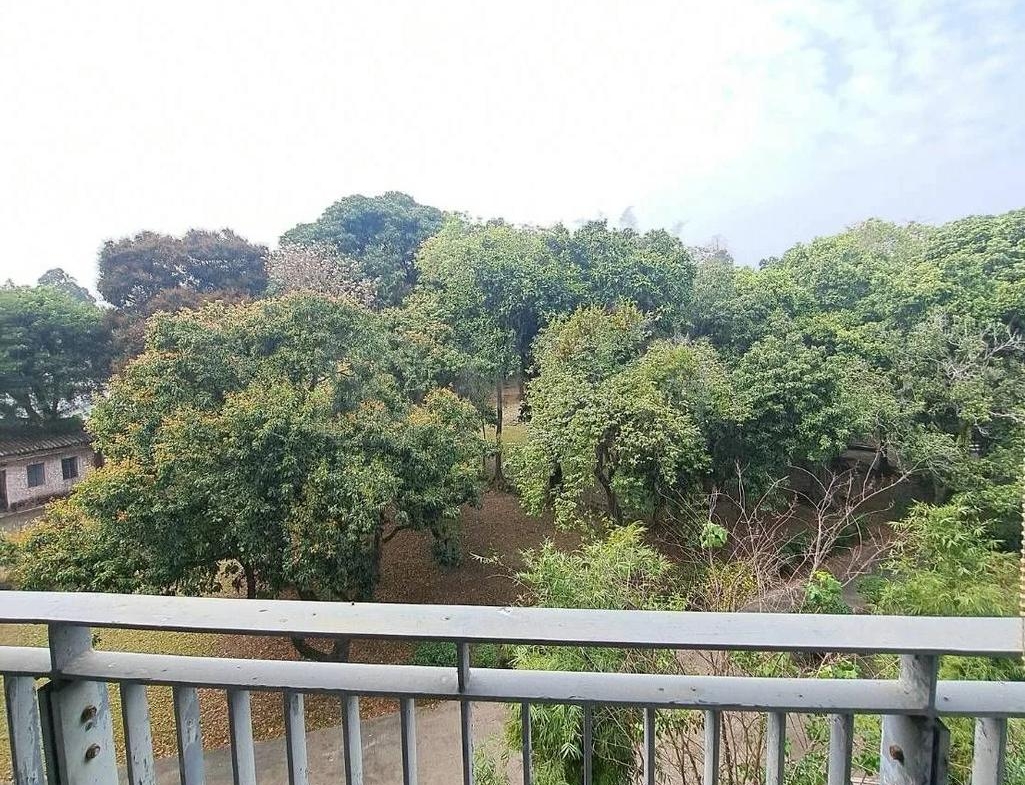 芙蓉園 1座 - 28NTS – 香港北部都會區