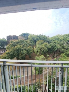 芙蓉園 1座 - 28NTS – 香港北部都會區
