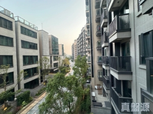WETLAND SEASONS PARK 2期 18座 - 28NTS – 香港北部都會區