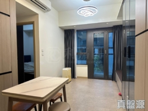 WETLAND SEASONS PARK 2期 18座 - 28NTS – 香港北部都會區
