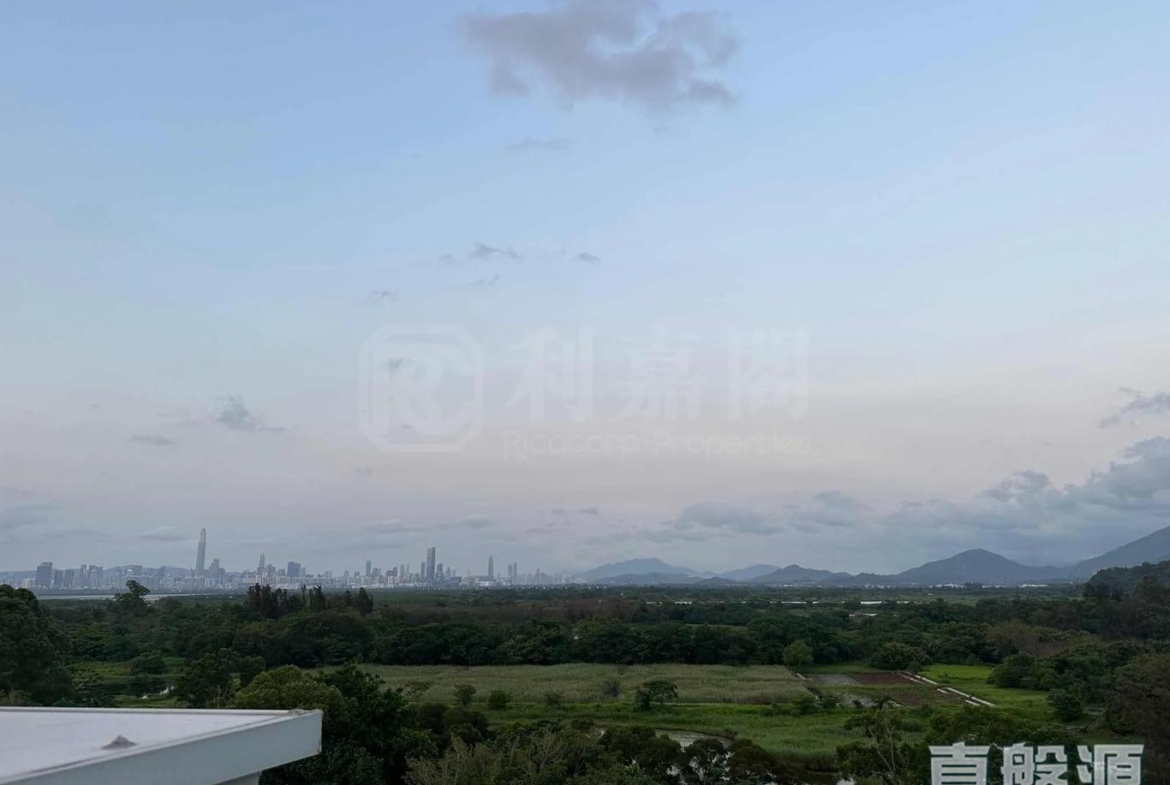WETLAND SEASONS PARK 2期 別墅6 - 28NTS – 香港北部都會區