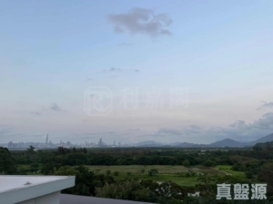 WETLAND SEASONS PARK 2期 別墅6 - 28NTS – 香港北部都會區