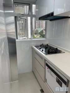 兆軒苑 順生閣 (A座) - 28NTS – 香港北部都會區