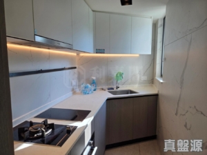 NOVO LAND 2B期 Arreso 1A座 - 28NTS – 香港北部都會區