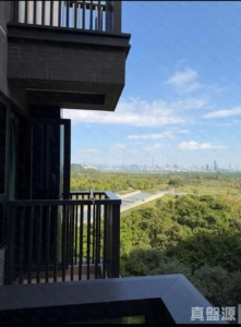 WETLAND SEASONS PARK 2期 2座 - 28NTS – 香港北部都會區