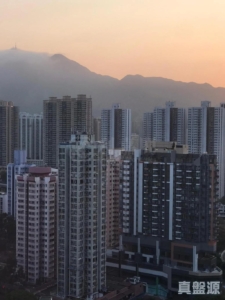 偉景花園 B座 - 28NTS – 香港北部都會區