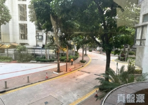 大興花園 2期 3座 - 28NTS – 香港北部都會區