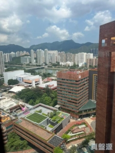 偉華中心 1座 - 28NTS – 香港北部都會區