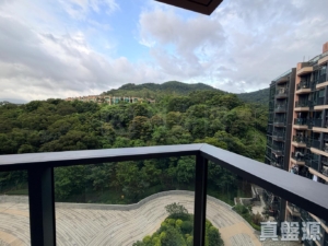 天鑽 18座 - 28NTS – 香港北部都會區