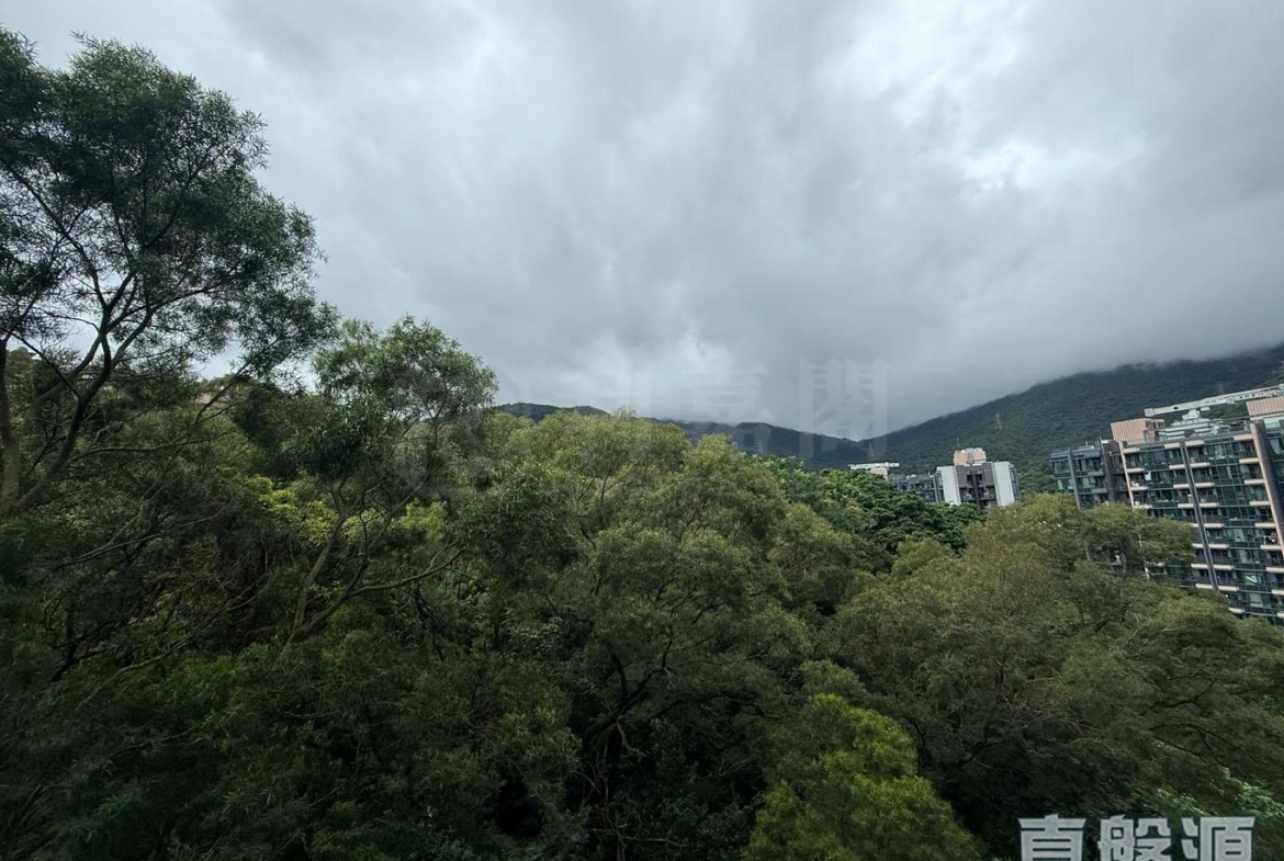 天鑽 13座 - 28NTS – 香港北部都會區