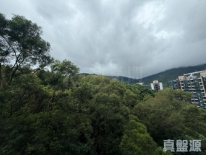 天鑽 13座 - 28NTS – 香港北部都會區