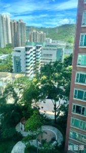疊茵庭 9座 - 28NTS – 香港北部都會區