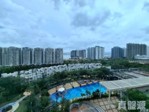 藍天海岸 1期 5座 - 28NTS – 香港北部都會區