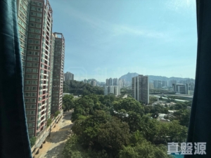 疊茵庭 4座 - 28NTS – 香港北部都會區