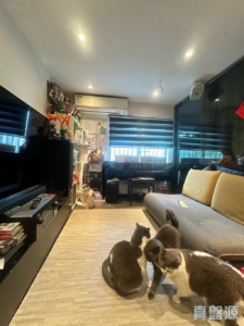 青俊苑 A座 (俊軒閣) - 28NTS – 香港北部都會區