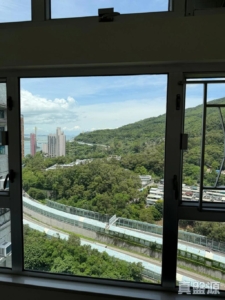 麗城花園 2期 9座 - 28NTS – 香港北部都會區