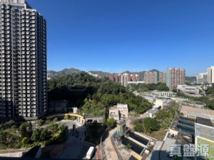 上嵐 - 28NTS – 香港北部都會區