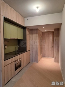 柏傲莊 3期 8座 (8B) - 28NTS – 香港北部都會區