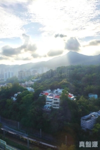 希爾頓中心 C座 - 28NTS – 香港北部都會區