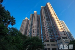 愉景花園 B座 - 28NTS – 香港北部都會區