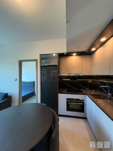 SILICON HILL UNIVERSITY HILL 2B期 優景閣 第3座 - 28NTS – 香港北部都會區