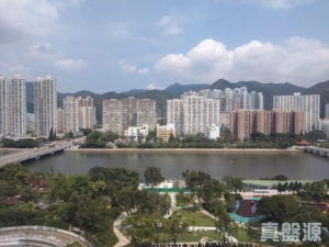 沙田中心 海寧大廈 (B座) - 28NTS – 香港北部都會區