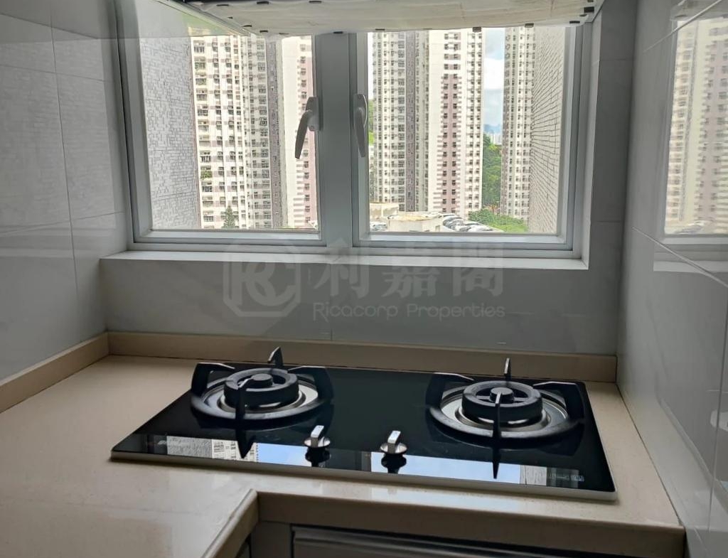 華明邨 禮明樓 (1座) - 28NTS – 香港北部都會區