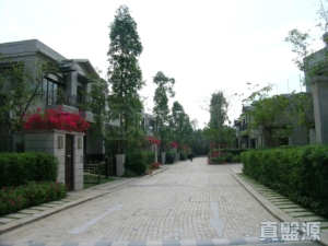1789664107d0f68140-27ca-4780-bfe6-c0533f2ba5c6.jpeg 御林皇府 - 28NTS – 香港北部都會區