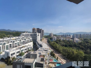 飛揚 2期 5座 - 28NTS – 香港北部都會區