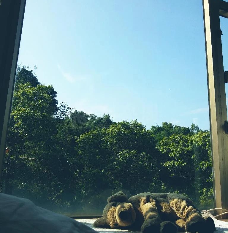 樂賢居 - 28NTS – 香港北部都會區