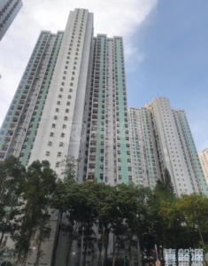 怡雅苑 怡禮閣 (A座) - 28NTS – 香港北部都會區